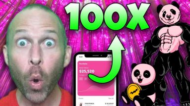 PINK PANDA COIN REVIEW!!!!! THE NEXT SAFEMOON OR SHIBA INU TOKEN!!!!!! 100X MOONSHOT CRYPTO!!!!!!