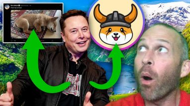 ELON BUYS FLOKI????? IS FLOKI INU THE NEXT SHIBA OR DOGE???? [dog meme coins..]