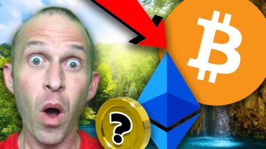 BITCOIN!!!!! THIS CRASH IS DIFFERENT!!! DON'T BE FOOLED!! ETHEREUM & THESE UNDERVALUED ALTS TO PUMP!