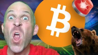 BITCOIN BEARS ARE WRONG!!!!! [trigger warning..] CRYPTO SUPERBOWL COMMERCIALS!!!