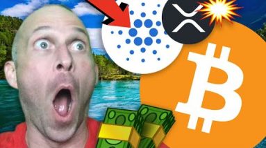 BITCOIN MEGA-WHALES BUYING CARDANO & XRP!!!!! [gmt token..]