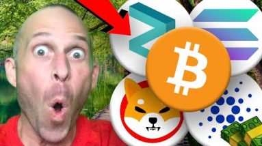 BITCOIN, ZILLIQA, SOLANA, CARDANO & SHIBA HOLDERS MUST WATCH TODAY!!!!