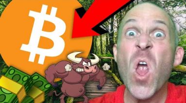 BITCOIN BULL RUN CONFIRMED!!!!! [tesla sells btc..]