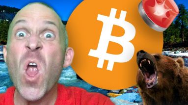 BITCOIN BEARS ARE F*CKED!!!!!